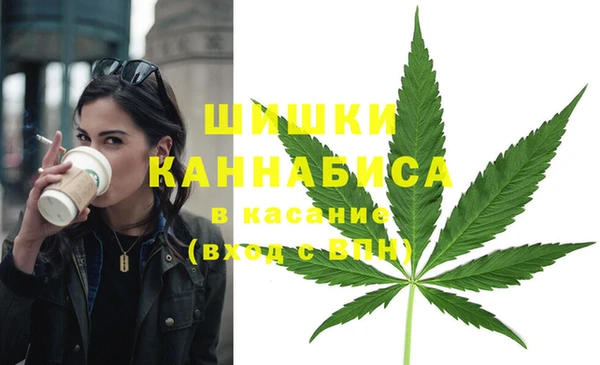 стафф Абаза