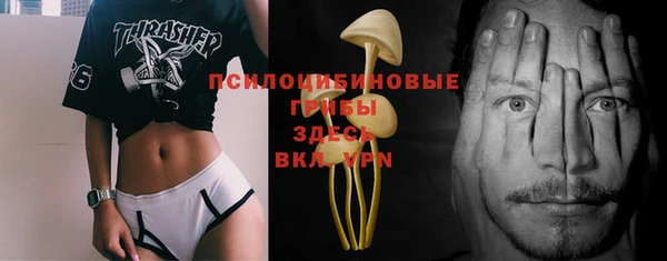 первитин Абинск