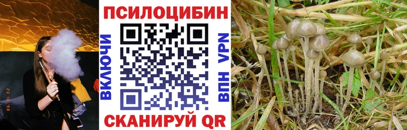 Галлюциногенные грибы мухоморы  Починок 