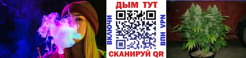 Шишки марихуана MAZAR  Починок 